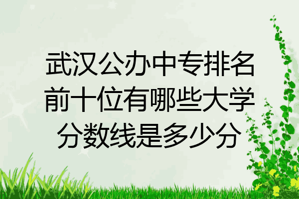 武汉公办中专排名前十位有哪些大学分数线是多少分