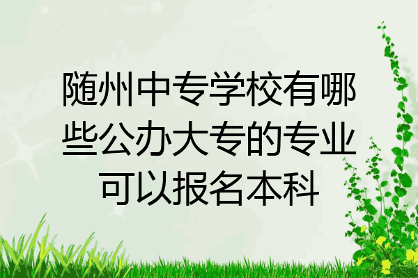 随州中专学校有哪些公办大专的专业可以报名本科