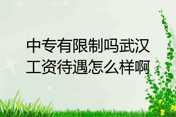 中专有限制吗武汉工资待遇怎么样啊