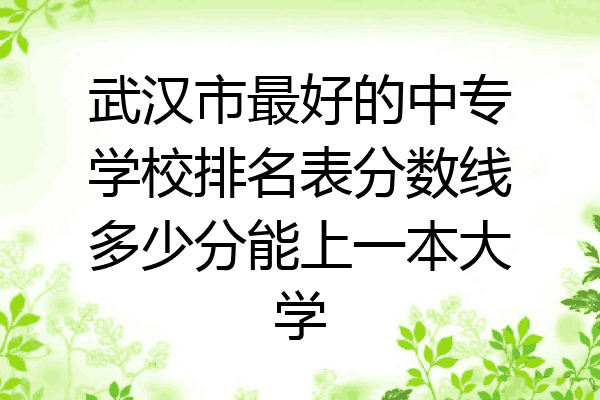 武汉市最好的中专学校排名表分数线多少分能上一本大学