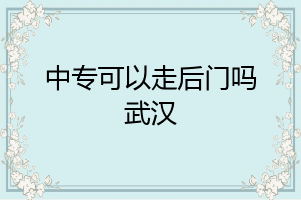 中专可以走后门吗武汉