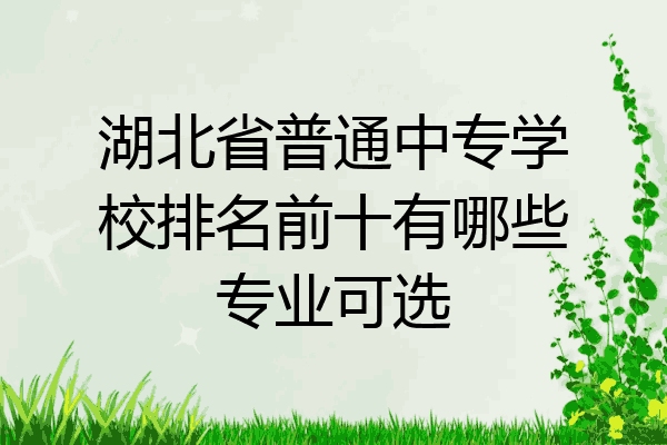 湖北省普通中专学校排名前十有哪些专业可选