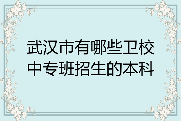 武汉市有哪些卫校中专班招生的本科