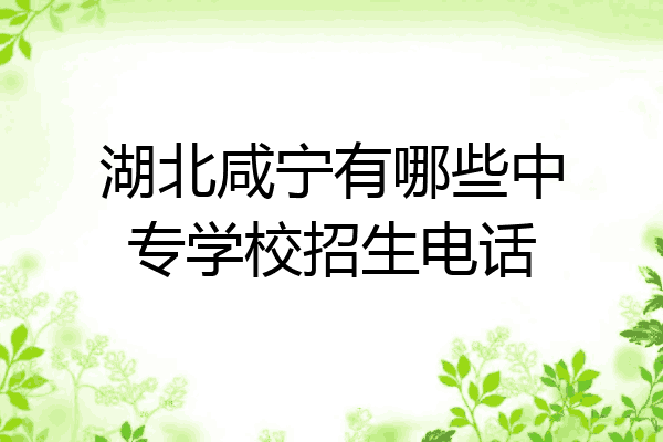 湖北咸宁有哪些中专学校招生电话