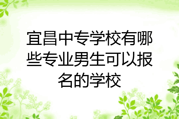 宜昌中专学校有哪些专业男生可以报名的学校