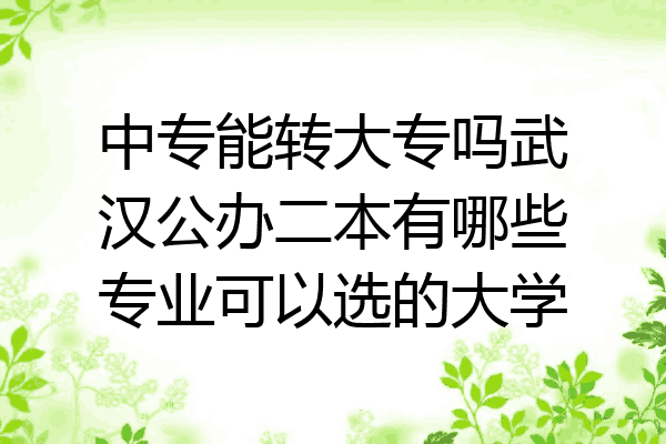 中专能转大专吗武汉公办二本有哪些专业可以选的大学