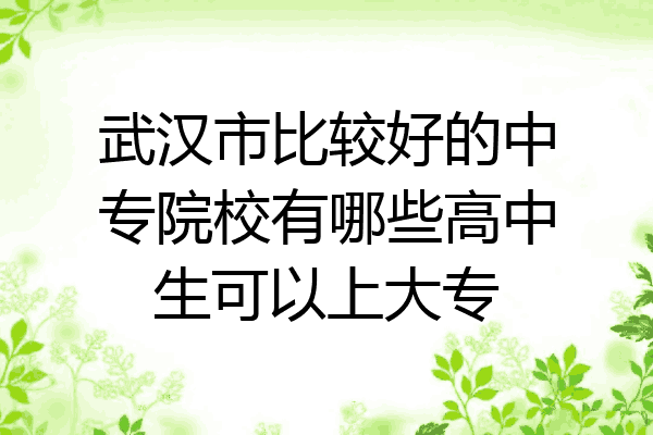 武汉市比较好的中专院校有哪些高中生可以上大专