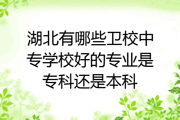湖北有哪些卫校中专学校好的专业是专科还是本科