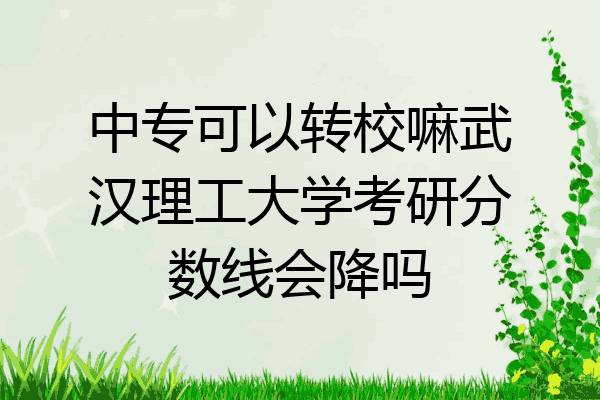 中专可以转校嘛武汉理工大学考研分数线会降吗