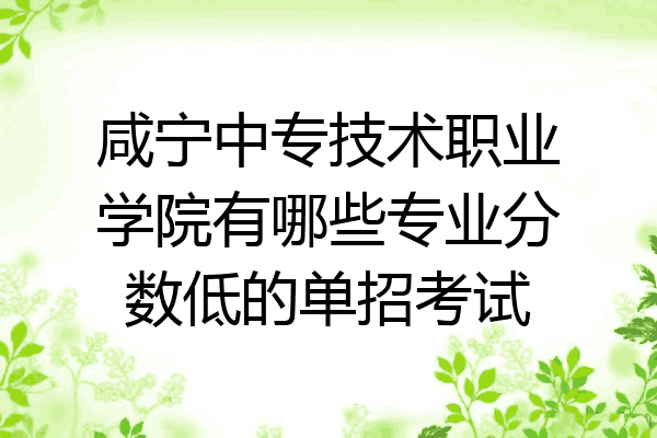 咸宁中专技术职业学院有哪些专业分数低的单招考试