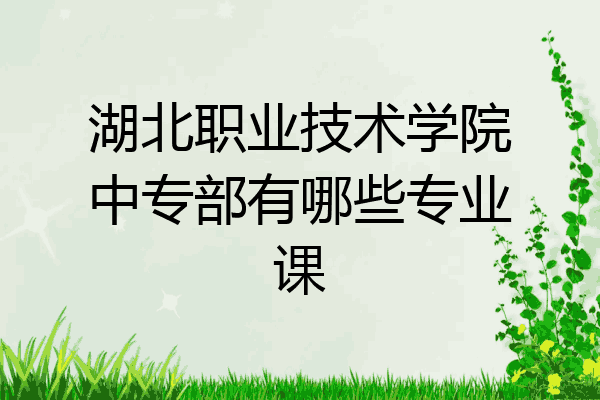 湖北职业技术学院中专部有哪些专业课