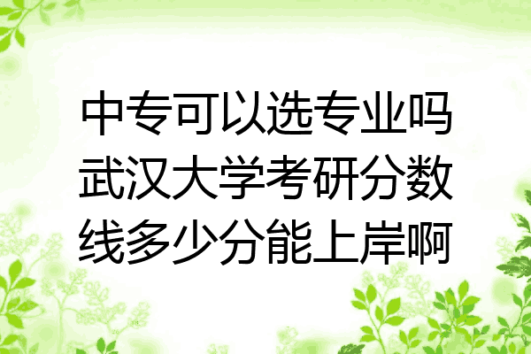 中专可以选专业吗武汉大学考研分数线多少分能上岸啊