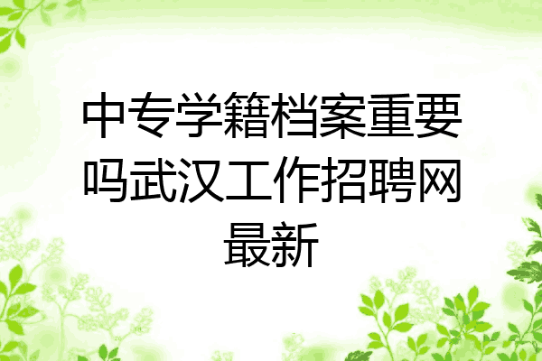 中专学籍档案重要吗武汉工作招聘网最新