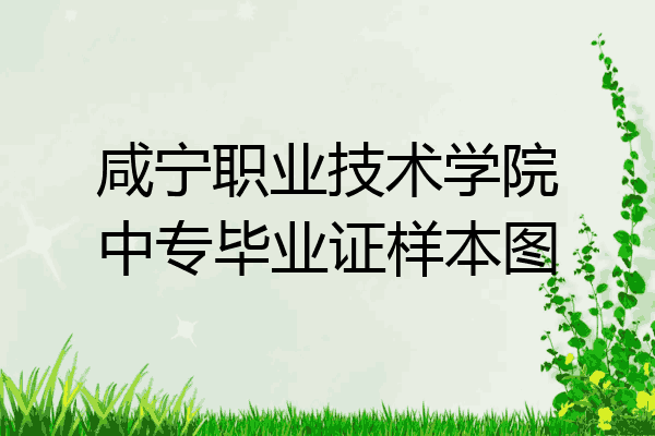 咸宁职业技术学院中专毕业证样本图