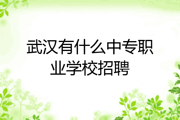 武汉有什么中专职业学校招聘