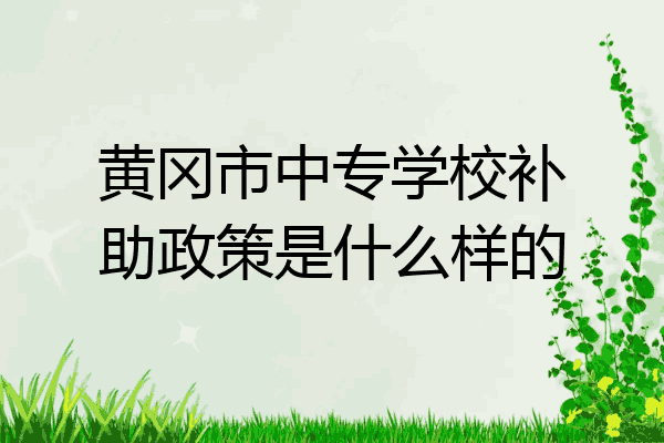 黄冈市中专学校补助政策是什么样的
