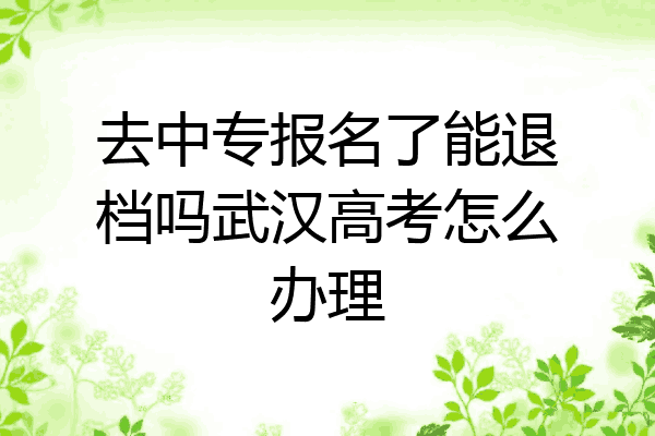 去中专报名了能退档吗武汉高考怎么办理