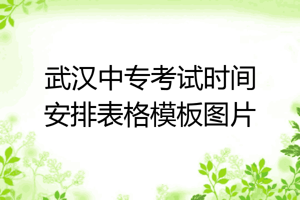 武汉中专考试时间安排表格模板图片