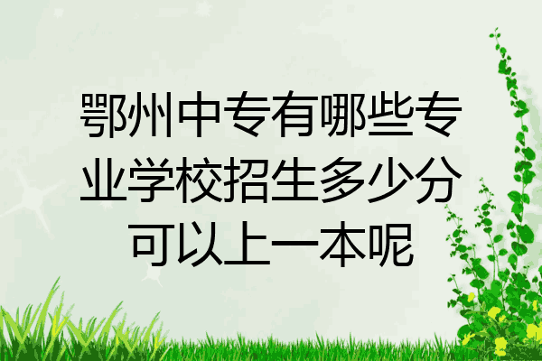 鄂州中专有哪些专业学校招生多少分可以上一本呢