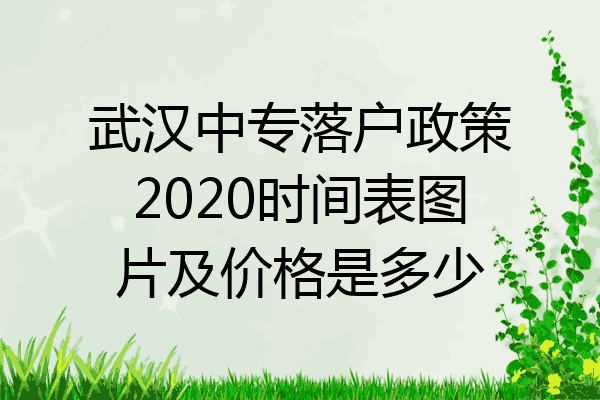 武汉中专落户政策2020时间表图片及价格是多少