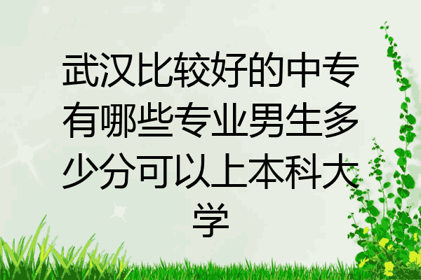 武汉比较好的中专有哪些专业男生多少分可以上本科大学