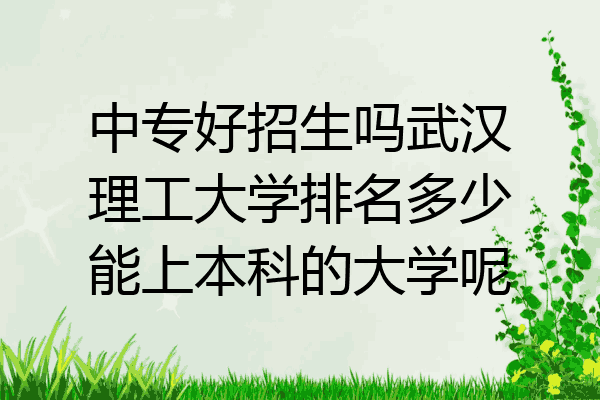 中专好招生吗武汉理工大学排名多少能上本科的大学呢
