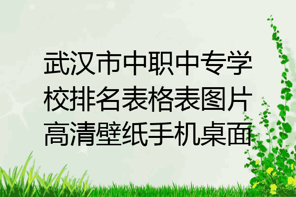 武汉市中职中专学校排名表格表图片高清壁纸手机桌面