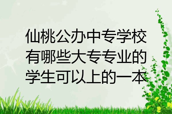仙桃公办中专学校有哪些大专专业的学生可以上的一本