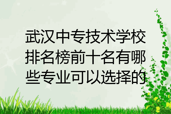 武汉中专技术学校排名榜前十名有哪些专业可以选择的