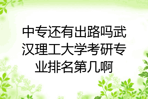 中专还有出路吗武汉理工大学考研专业排名第几啊