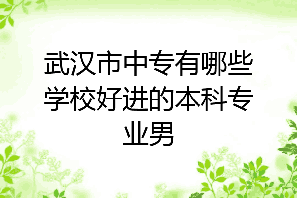武汉市中专有哪些学校好进的本科专业男