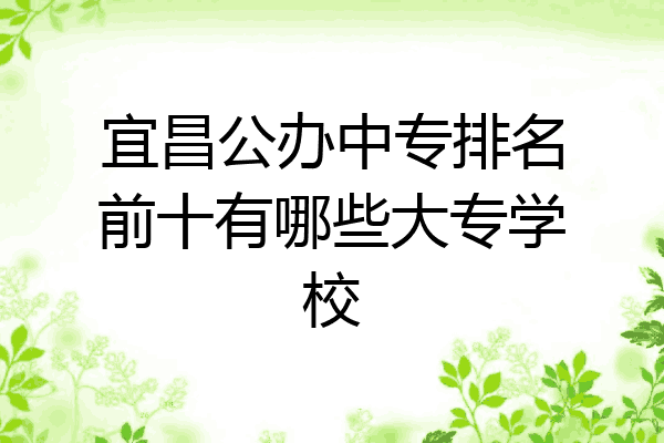 宜昌公办中专排名前十有哪些大专学校
