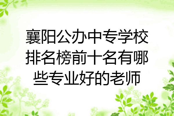 襄阳公办中专学校排名榜前十名有哪些专业好的老师