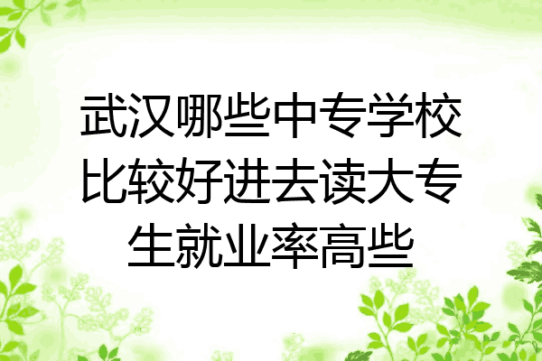 武汉哪些中专学校比较好进去读大专生就业率高些