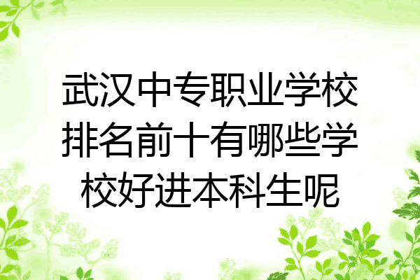 武汉中专职业学校排名前十有哪些学校好进本科生呢