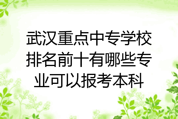 武汉重点中专学校排名前十有哪些专业可以报考本科