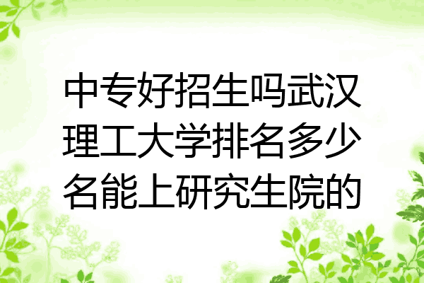 中专好招生吗武汉理工大学排名多少名能上研究生院的
