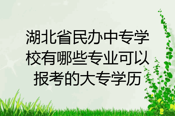 湖北省民办中专学校有哪些专业可以报考的大专学历