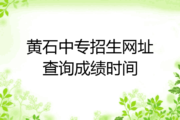 黄石中专招生网址查询成绩时间