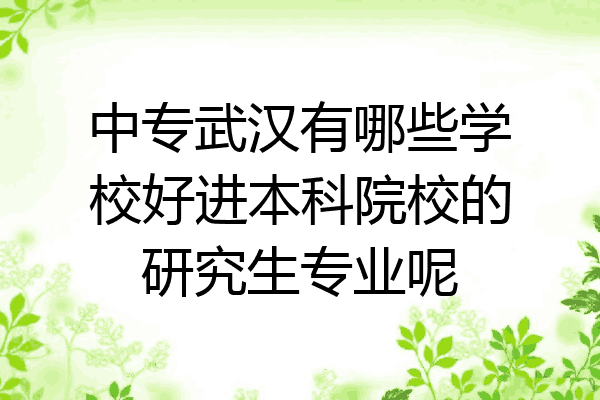 中专武汉有哪些学校好进本科院校的研究生专业呢