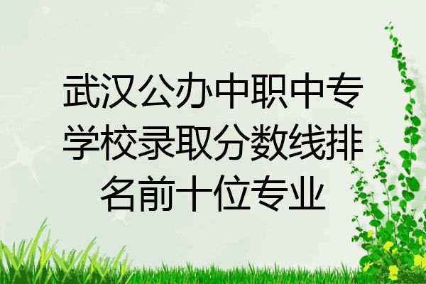 武汉公办中职中专学校录取分数线排名前十位专业