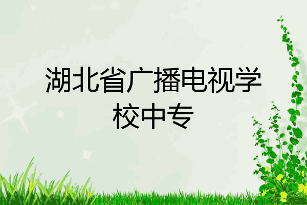 湖北省广播电视学校中专
