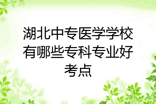 湖北中专医学学校有哪些专科专业好考点