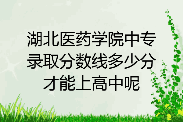 湖北医药学院中专录取分数线多少分才能上高中呢