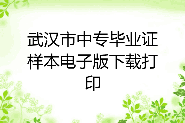武汉市中专毕业证样本电子版下载打印