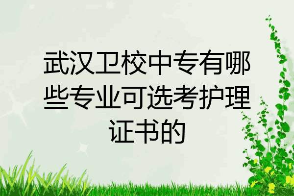 武汉卫校中专有哪些专业可选考护理证书的