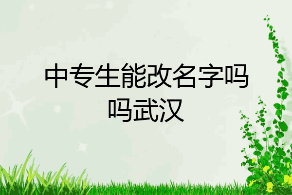 中专生能改名字吗吗武汉