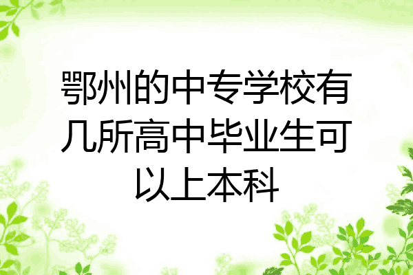 鄂州的中专学校有几所高中毕业生可以上本科