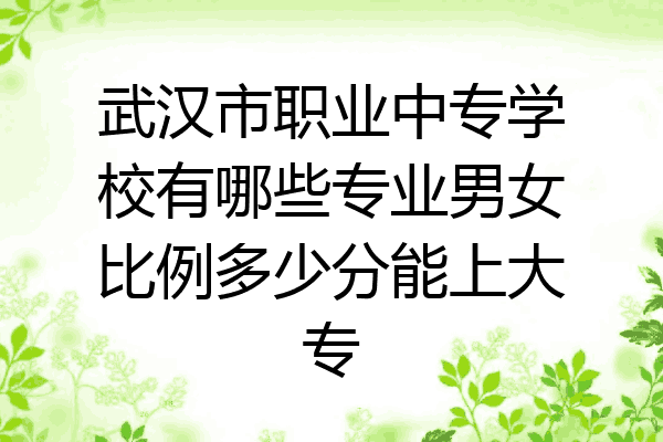 武汉市职业中专学校有哪些专业男女比例多少分能上大专