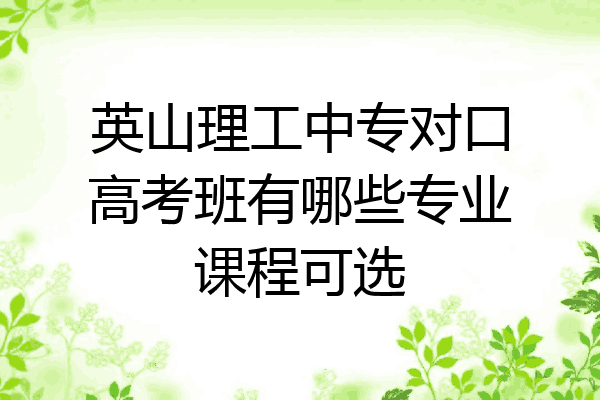 英山理工中专对口高考班有哪些专业课程可选